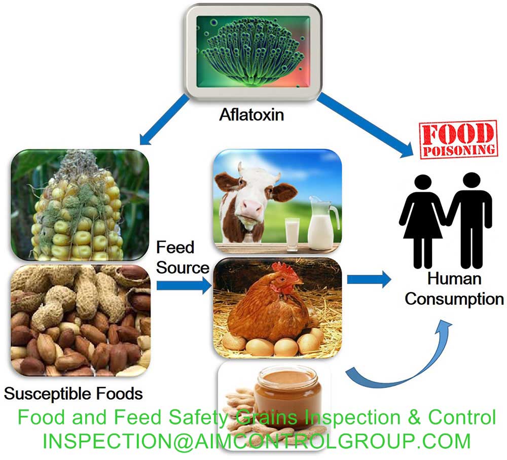 Food_and_Feed_Safety_Grains_Inspections_AIM_Control